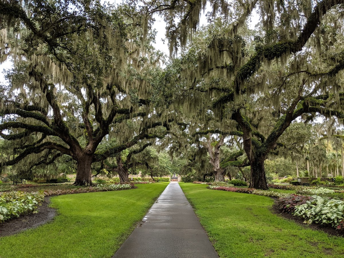 Brookgreen Gardens in Murrells Inlet, South Carolina