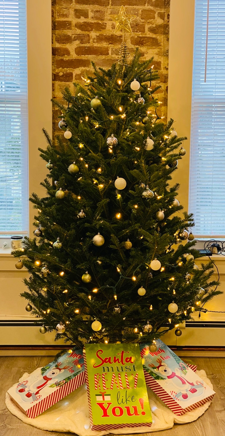 Brooklyn Christmas Tree in Brooklyn, New York