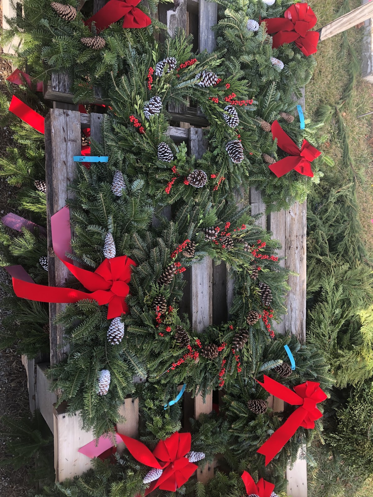Brown's Christmas Trees in Clayton, Ohio