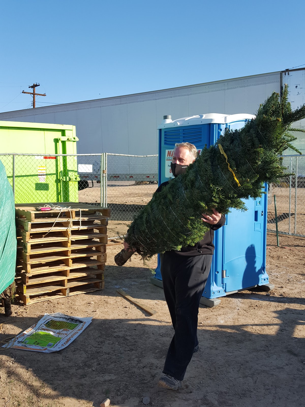 BSA Troop 41 Christmas Tree Farm (Seasonal) in Phoenix, Arizona
