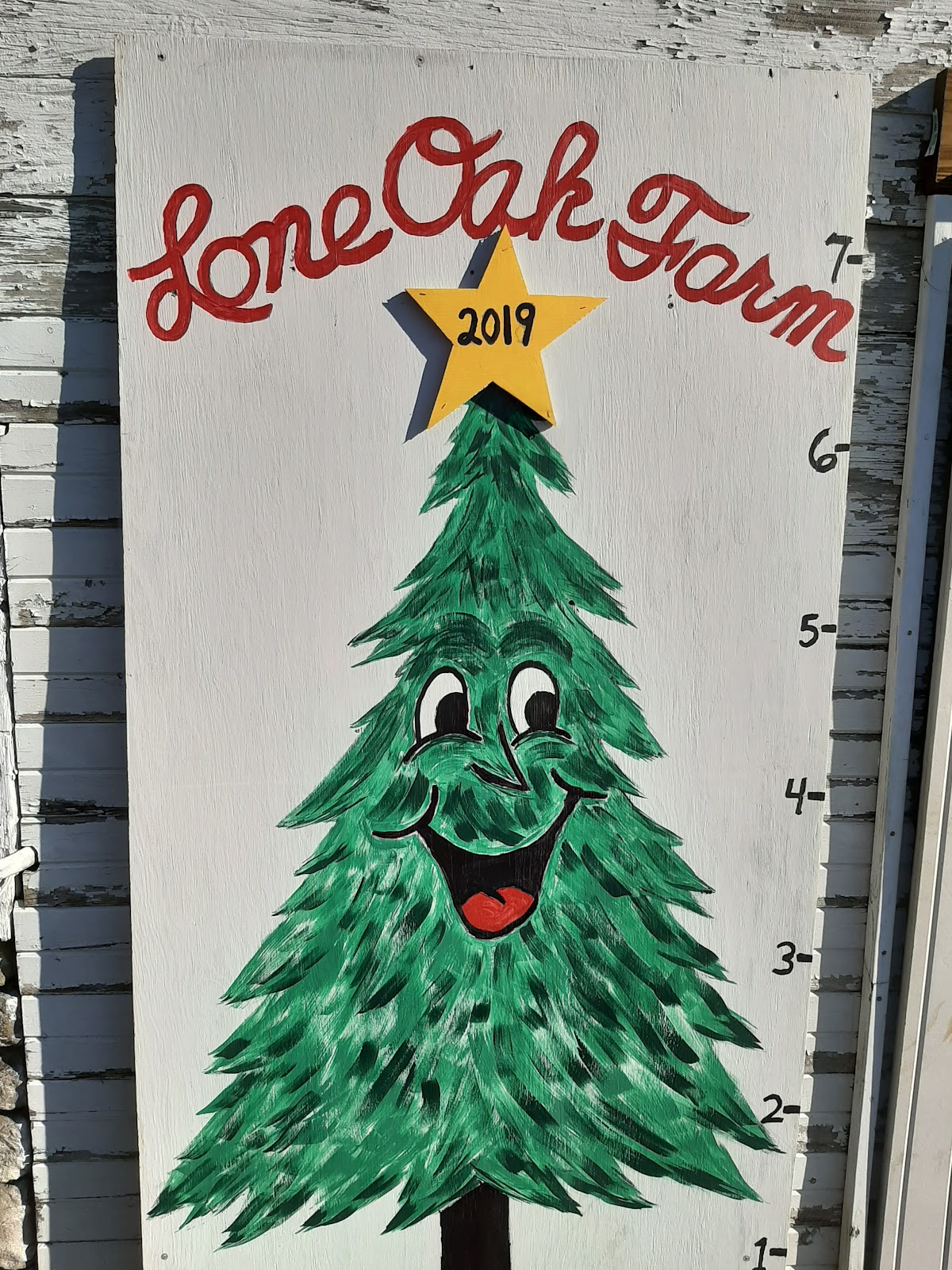 Bucchianeri's Lone Oak Farm Christmas Trees in Monongahela, Pennsylvania