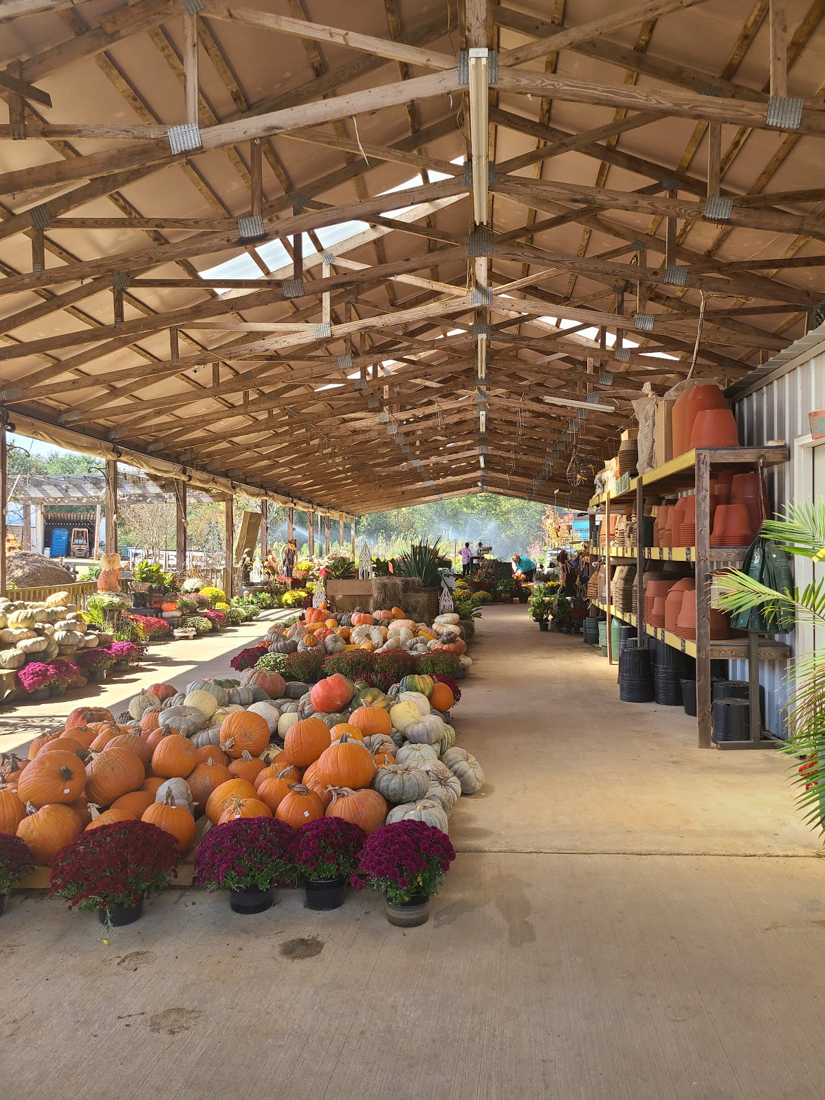 Buds & Blooms Nursery in Wesson, Mississippi