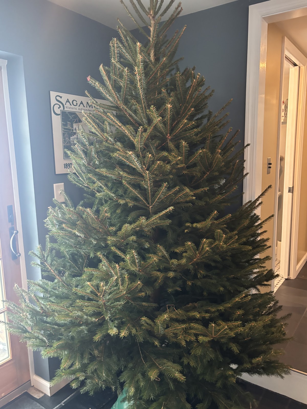 Buttenschon Christmas Tree Farm in Marcy, New York