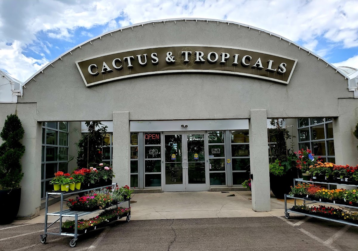 Cactus & Tropicals in Draper, Utah