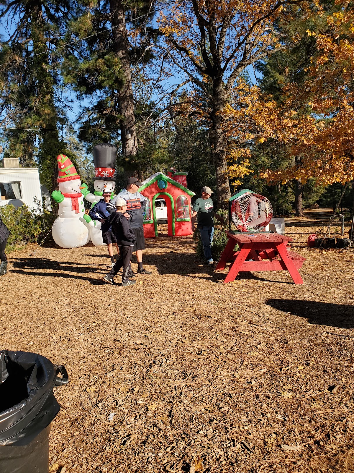 Cal-Sierra Tree Farm in West Point, California