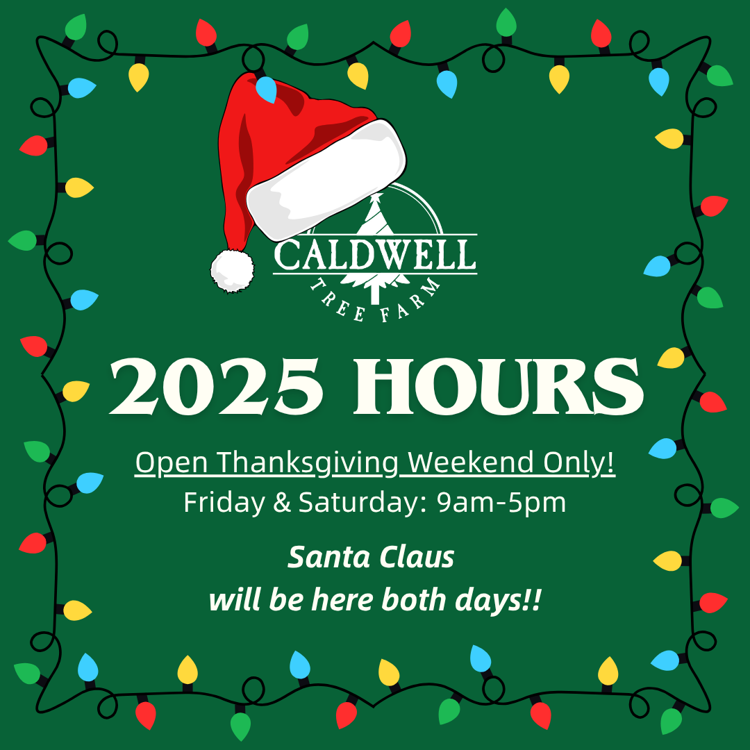 Caldwell Tree Farm in Winnsboro, South Carolina