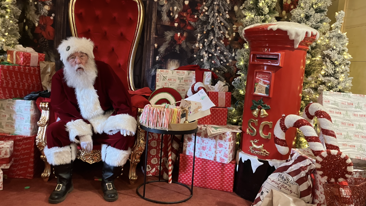 Canyon Christmas Tree Farm in Stayton, Oregon