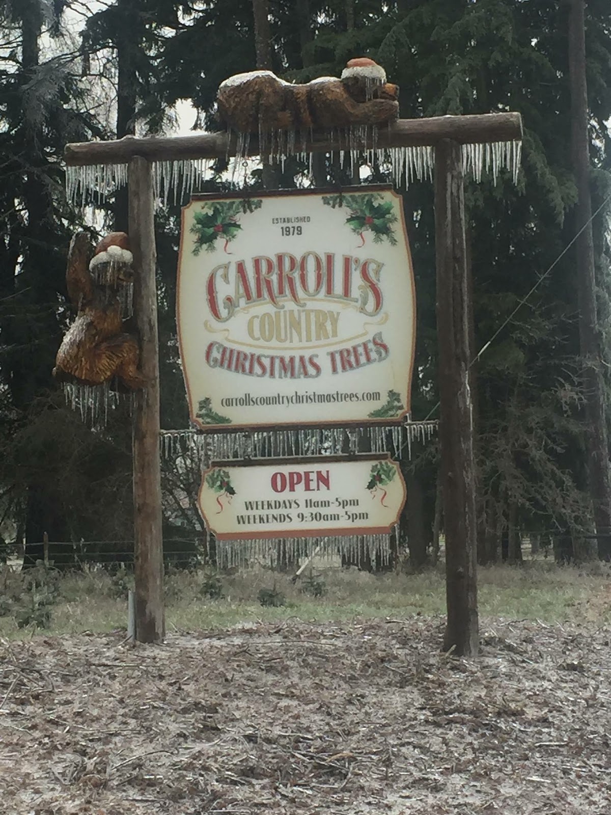 Carroll’s Country Christmas Trees in Veneta, Oregon