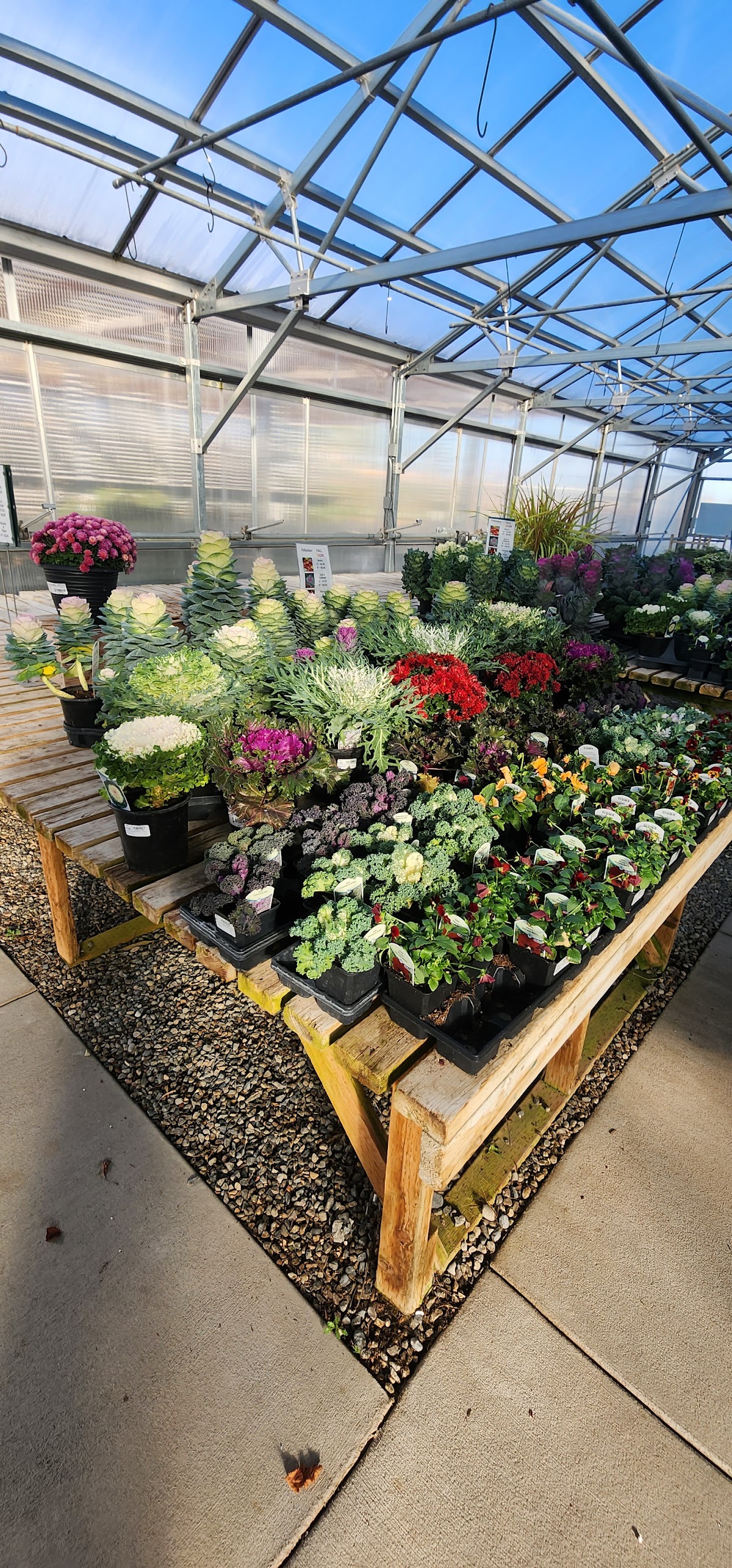 Cashman Nursery in Bozeman, Montana