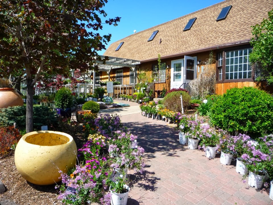 Cashman Nursery & Landscaping in Bismarck, North Dakota