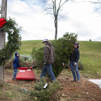 Caywood Christmas Tree Farms in Marietta, Ohio