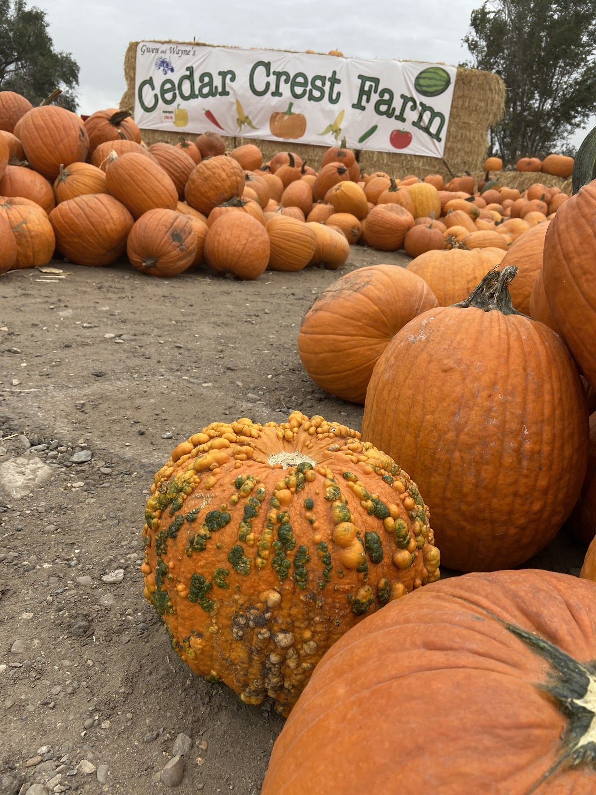 Cedar Crest farms in Roy, Utah