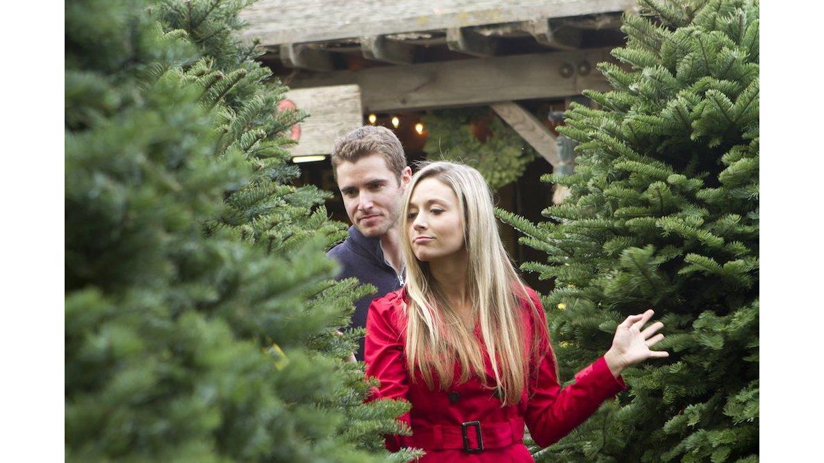 Cedar Grove Christmas Trees in Cedar Grove, New Jersey