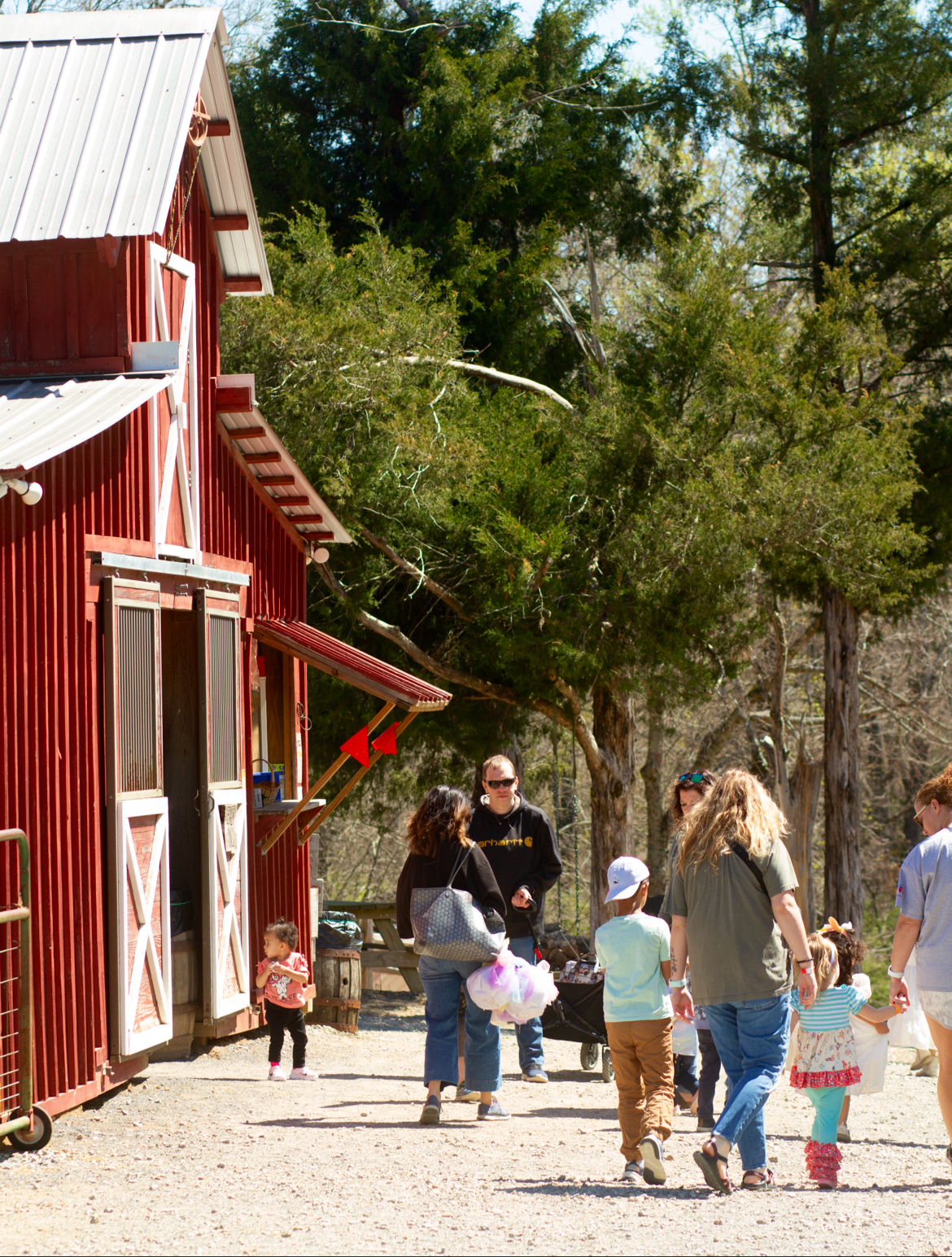 Cedar Hill Farm, The Barn. in Hernando, Mississippi