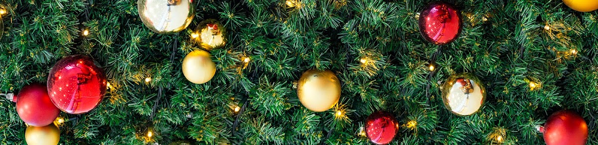 Cedar Ridge Tree Farm in Gilbert, South Carolina