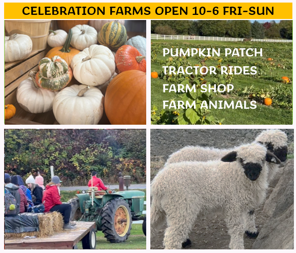 Celebration Farms in Fall City, Washington