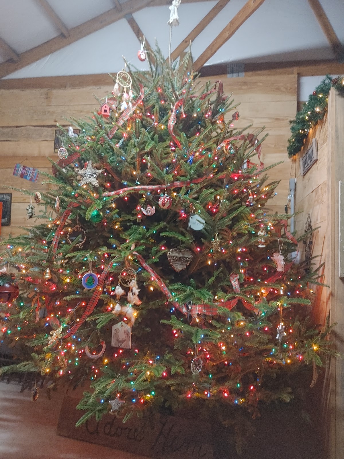 Center Bend Farm in Harleyville, South Carolina
