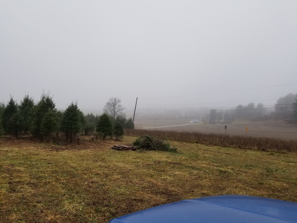 Cetnar's Tree Farm in Kunkletown, Pennsylvania