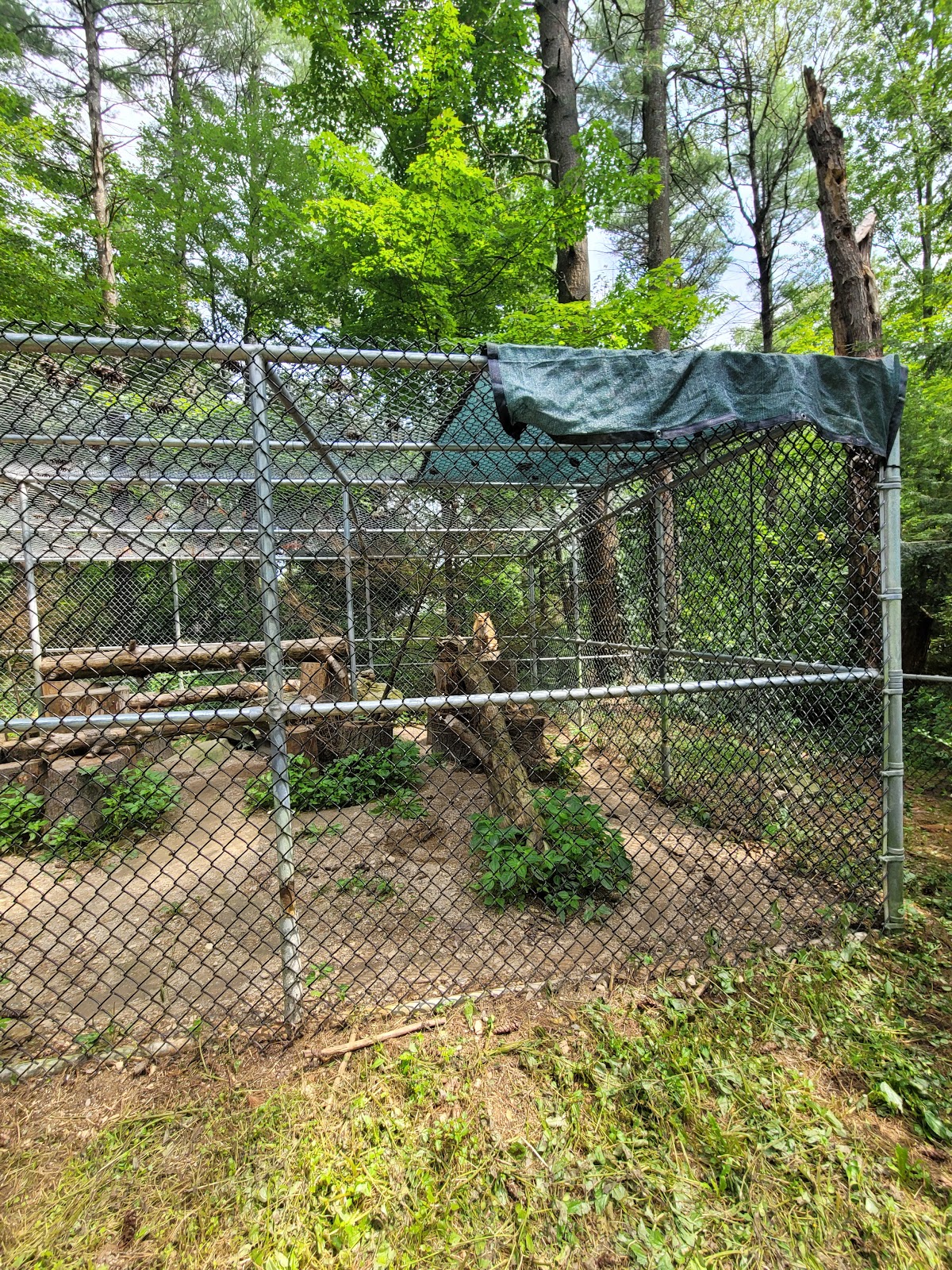 Charmingfare Farm in Candia, New Hampshire