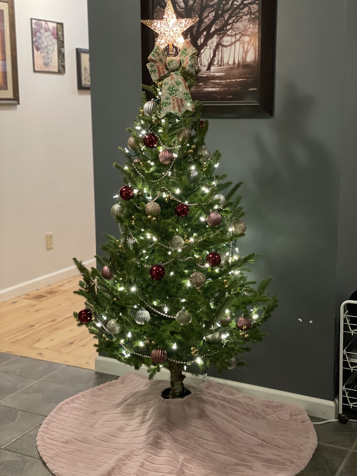 Chengerian's Tree Land in Fulton, New York