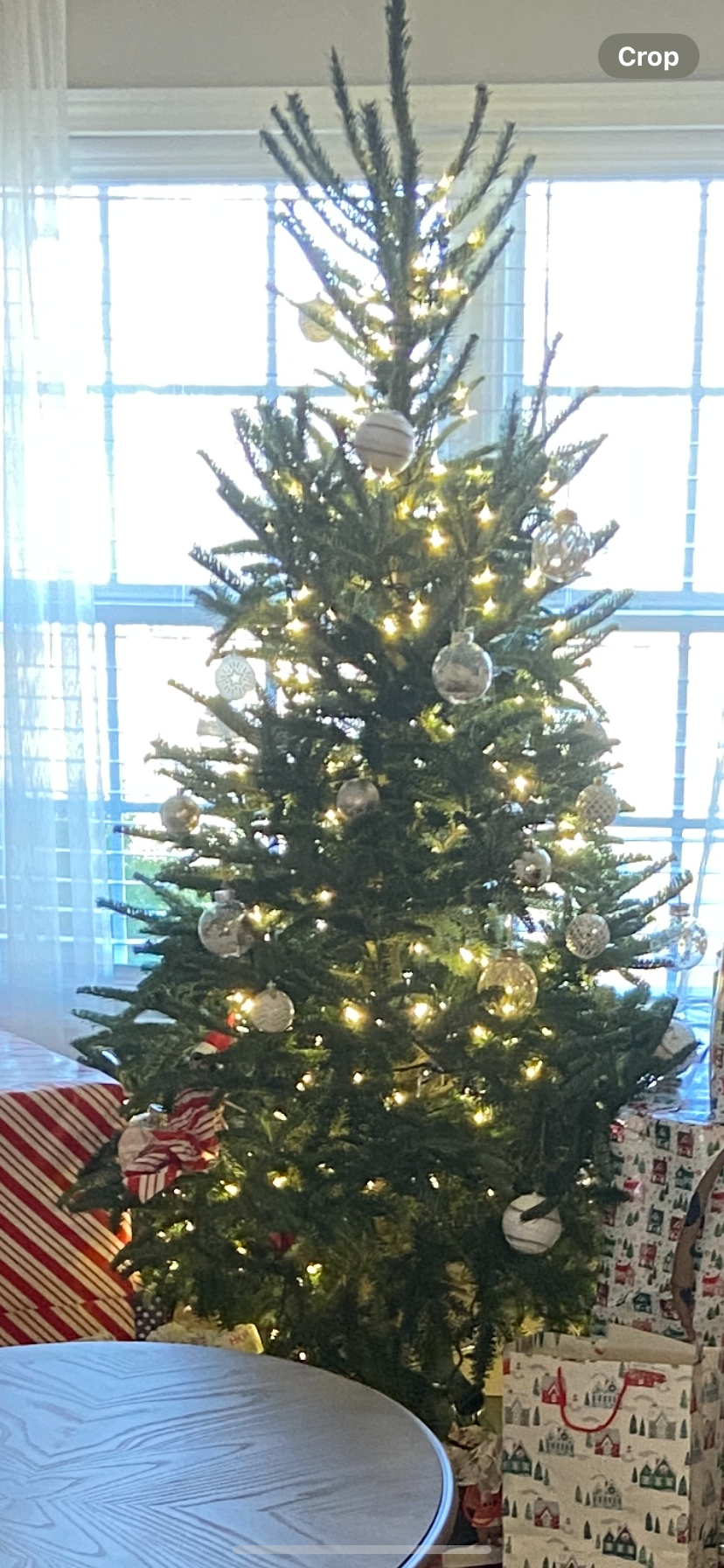 Christmas Carroll Tree Farm in LaFayette, Georgia