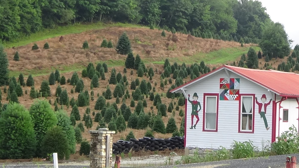 Christmas Corner Choose & Cut in Newland, North Carolina