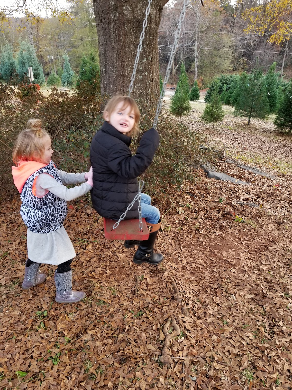 Christmas Hill in Chesnee, South Carolina