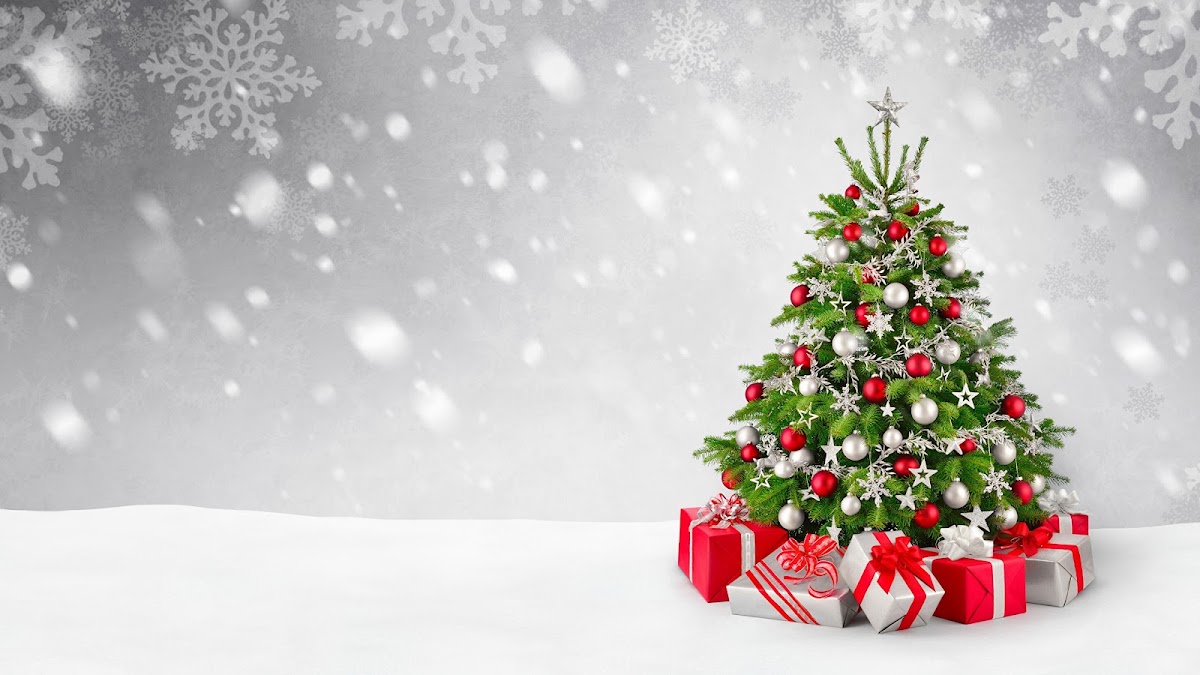 Christmas Hill Tree Farm in Guilford, Connecticut