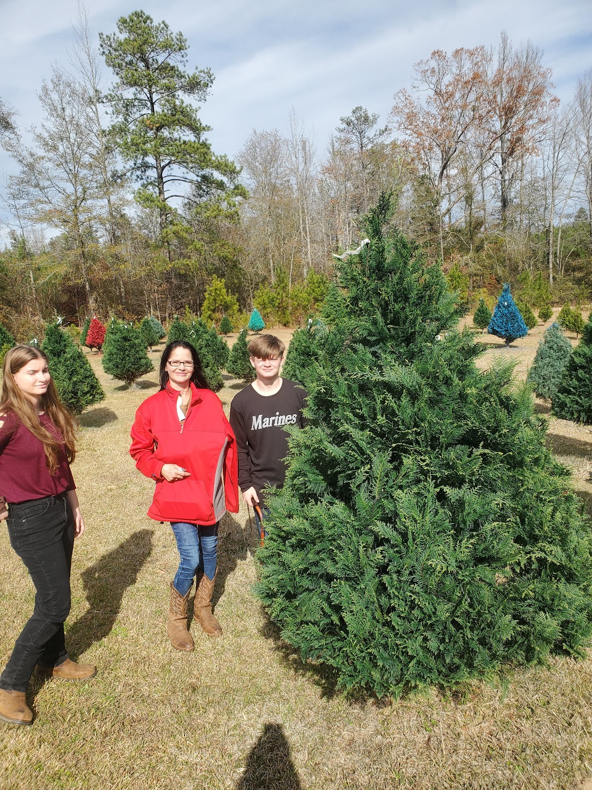 Christmas In Dixie Tree Farms in Goodwater, Alabama