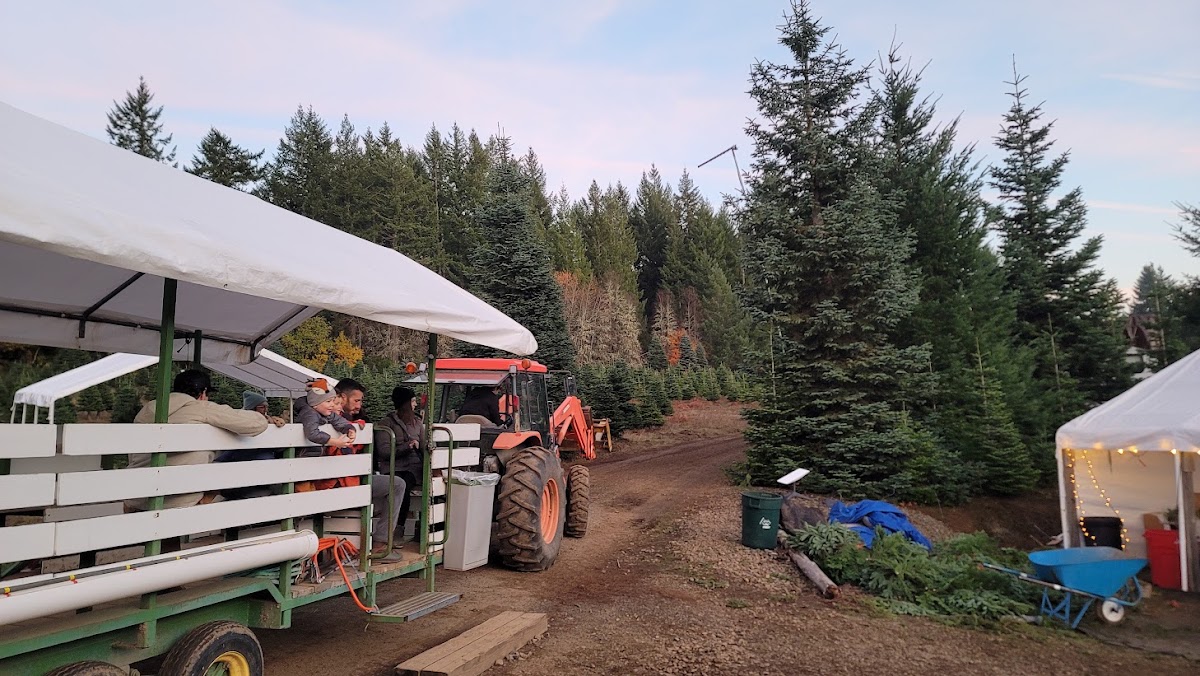 Christmas Mountain Choose and Cut in Scappoose, Oregon