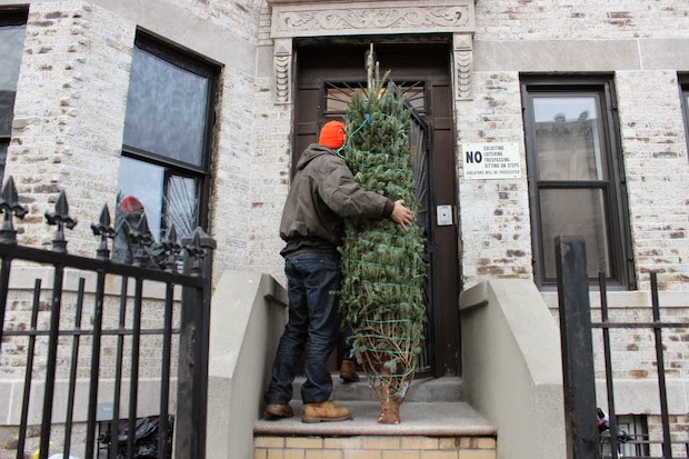 Christmas Tree Brooklyn in Brooklyn, New York