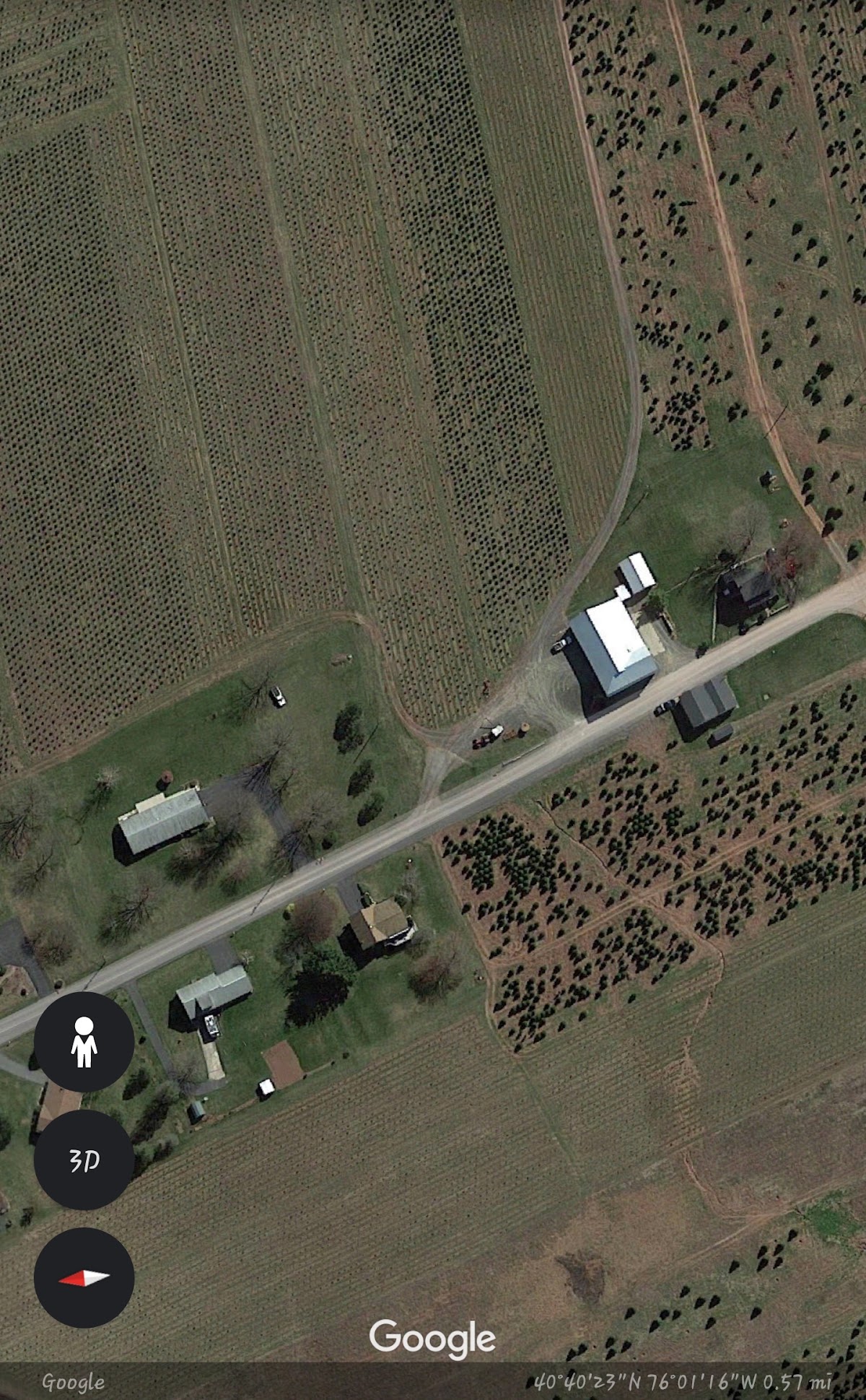 Christmas Tree Farm in New Ringgold, Pennsylvania