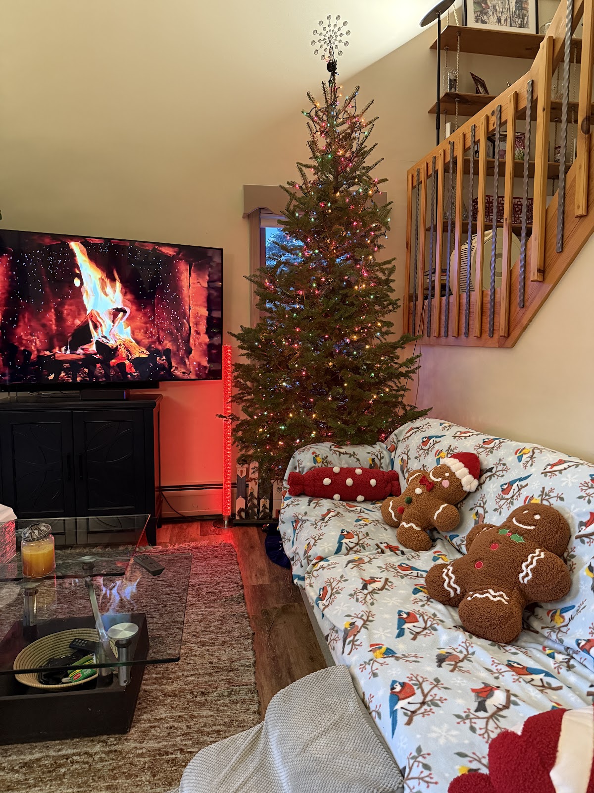 Christmas Tree Farm Peter Lyon in Essex Junction, Vermont