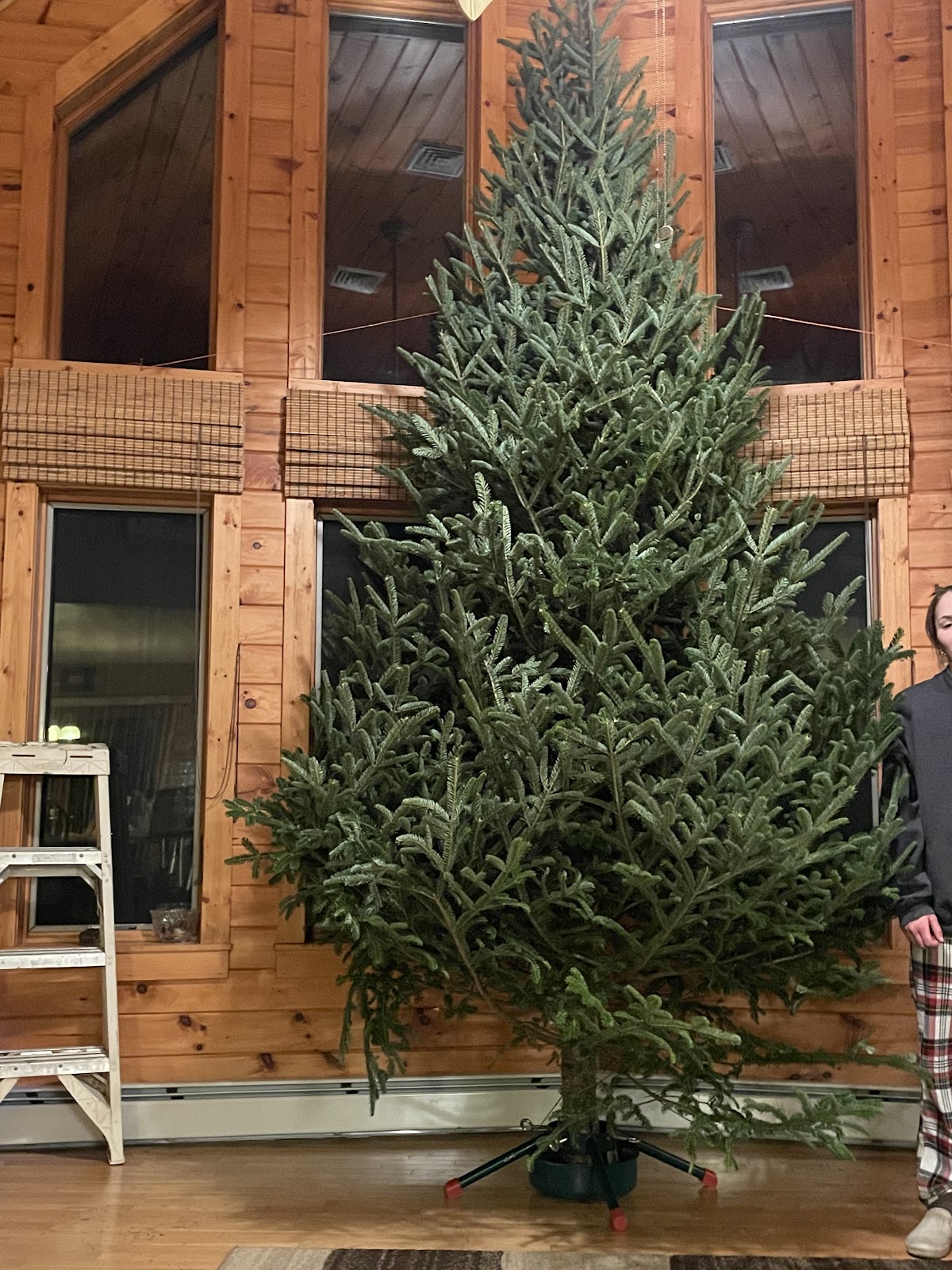 Christmas Tree Lane in Wallkill, New York