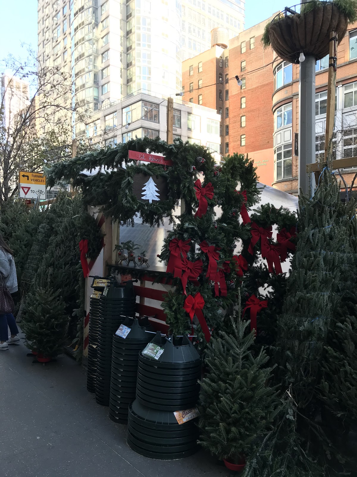 Christmas Tree Market in New York, New York