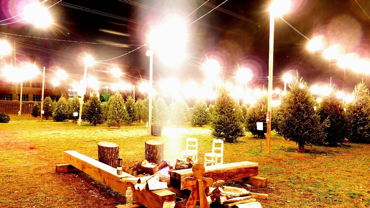 Christmas Trees in Sandy Springs, Georgia