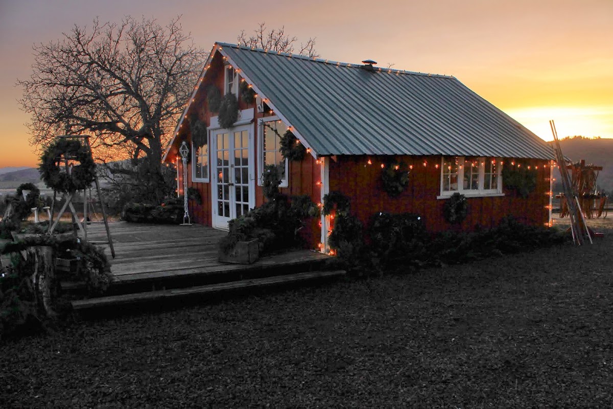 Christmas Trees West, LLC in Forest Grove, Oregon