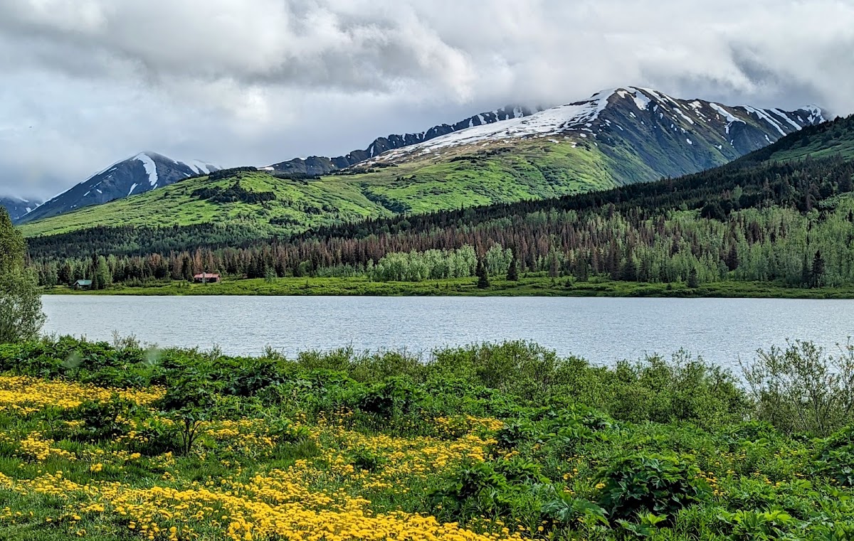 Chugach National Forest in Seward, Alaska