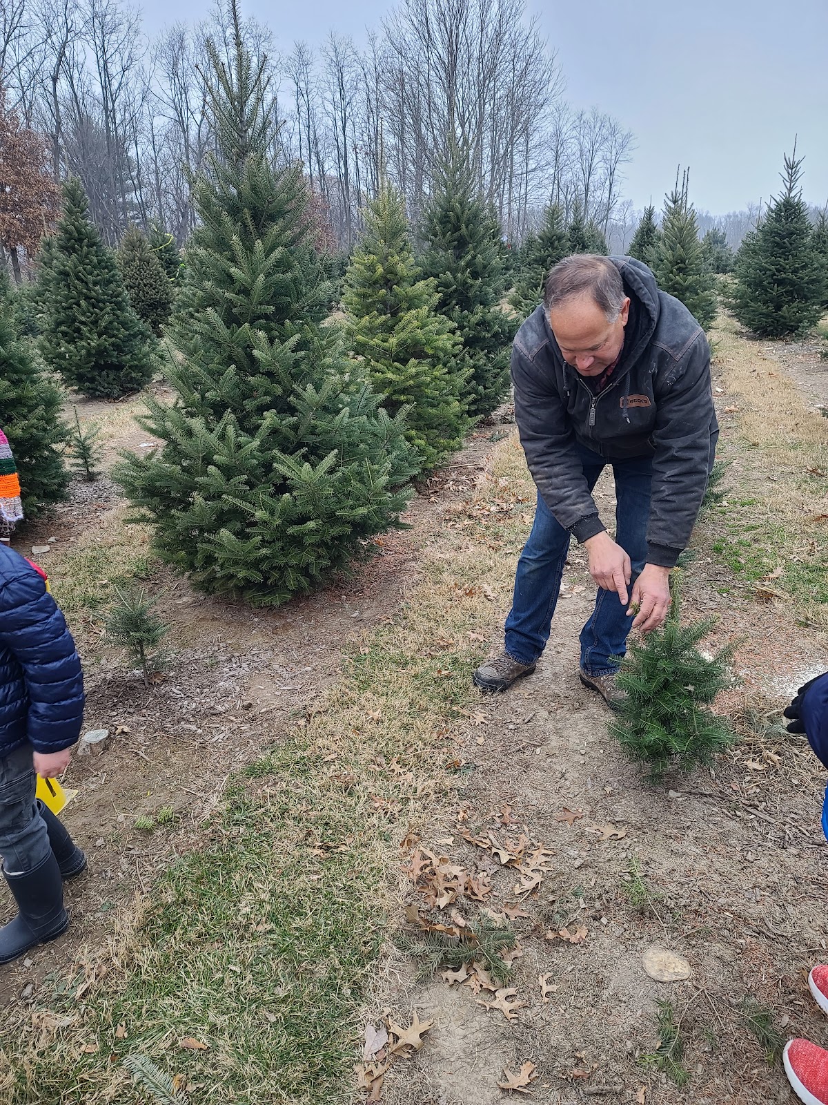 Cinnamon Tree Farm in Brimfield, Illinois