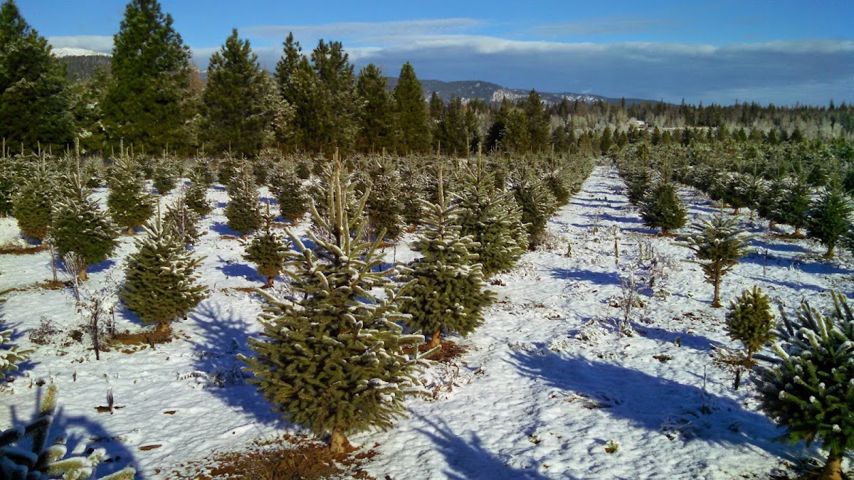 Circle D Farm Sales Inc in Naples, Idaho
