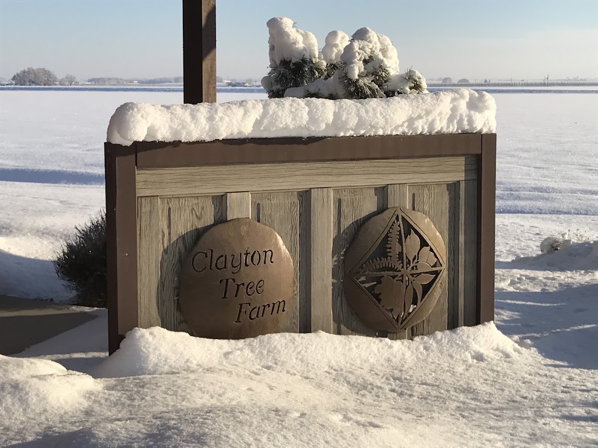 Clayton Tree Farm in Wilder, Idaho