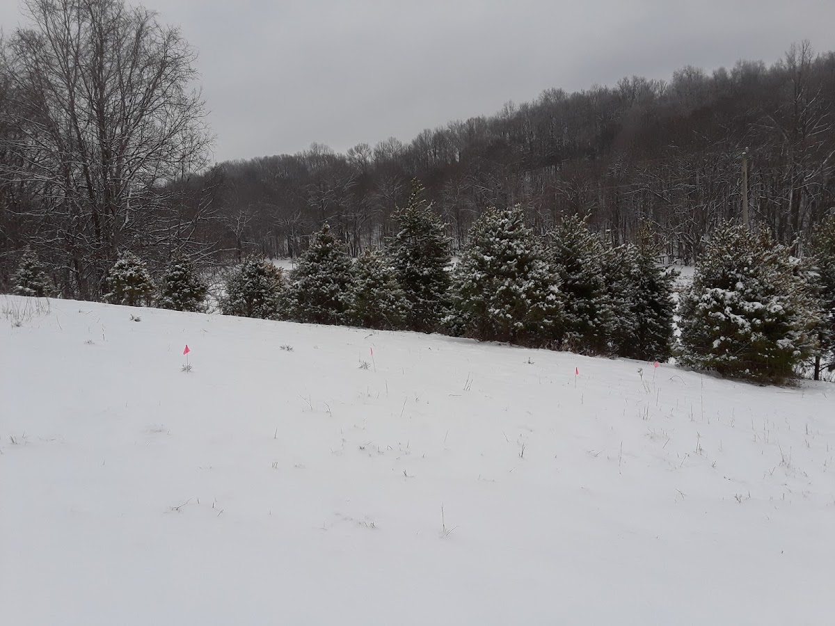Clearwater Farm in Cunningham, Tennessee