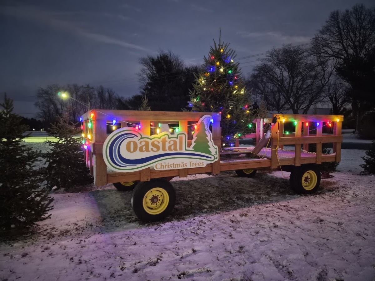 Coastal Christmas Trees in Milton, Delaware