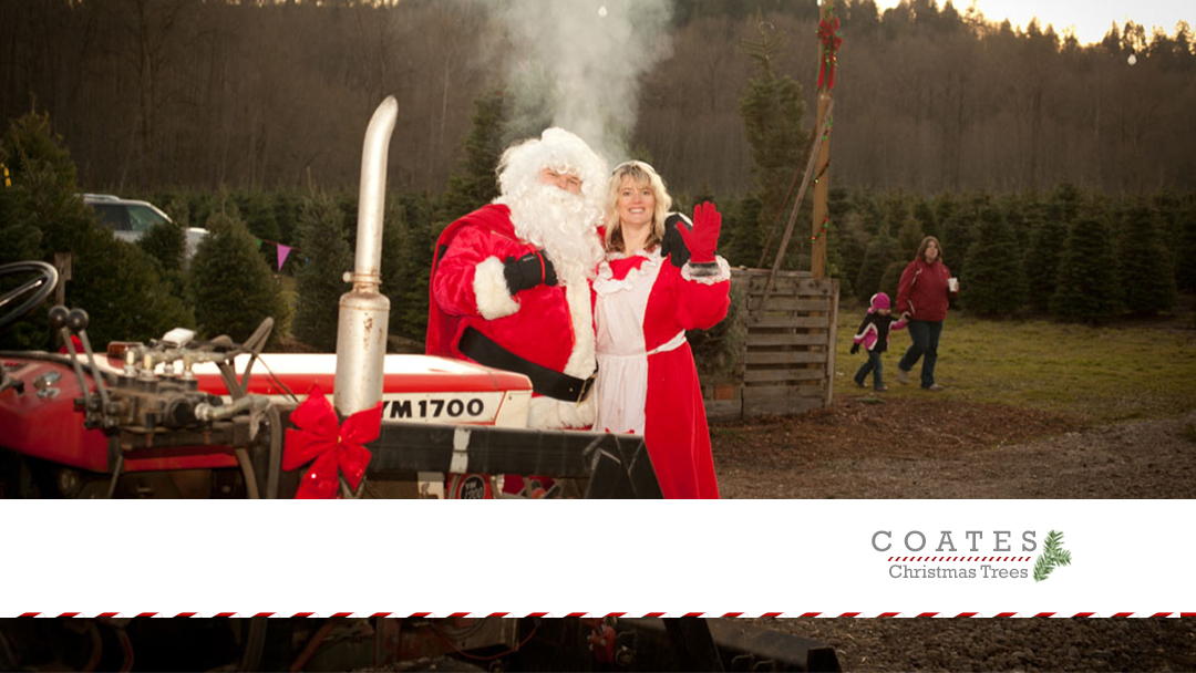 Coates Christmas Trees in Auburn, Washington