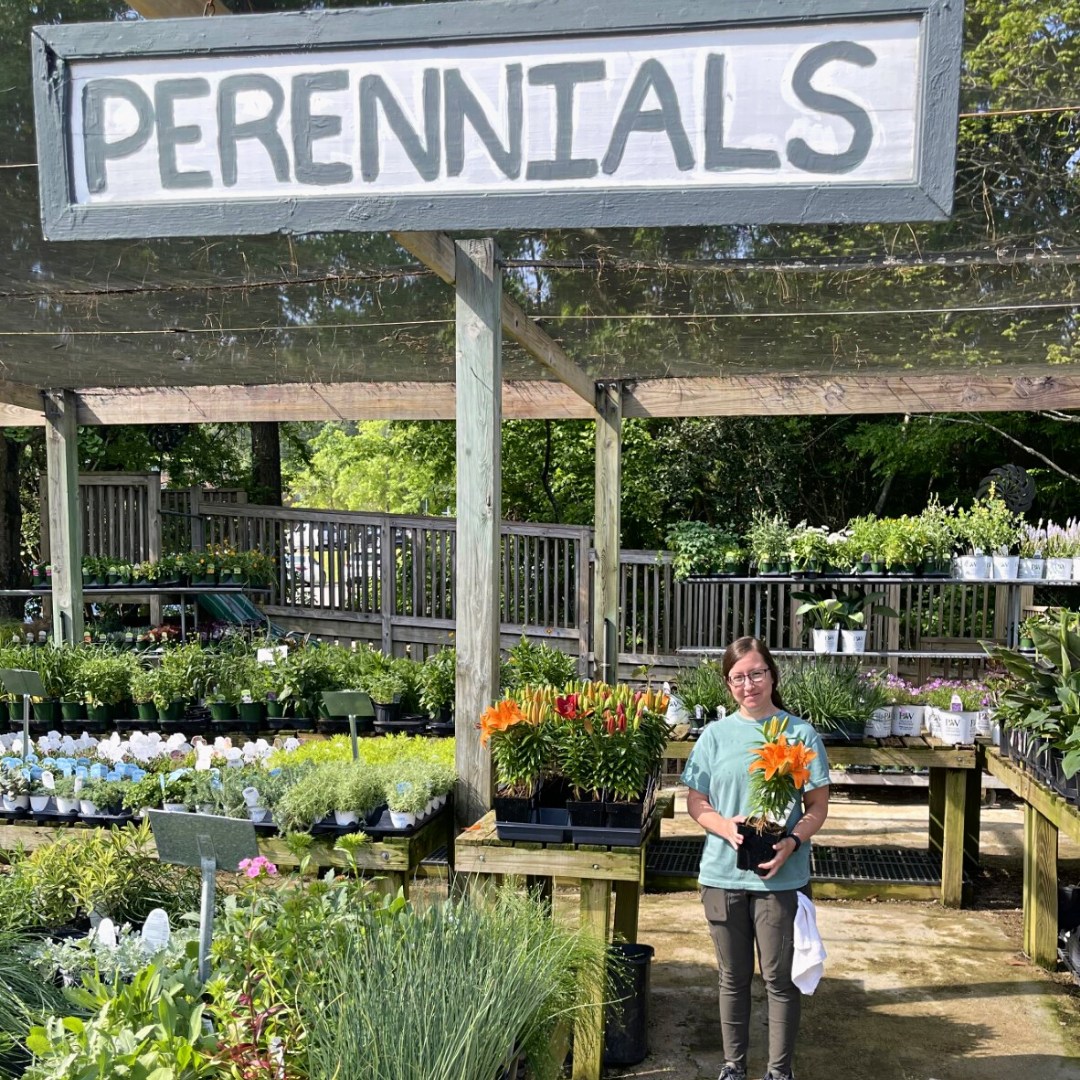 Collier's Nursery in Birmingham, Alabama