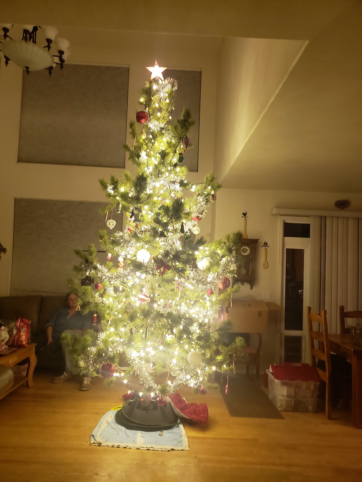 Colorado Native Christmas Trees in Longmont, Colorado