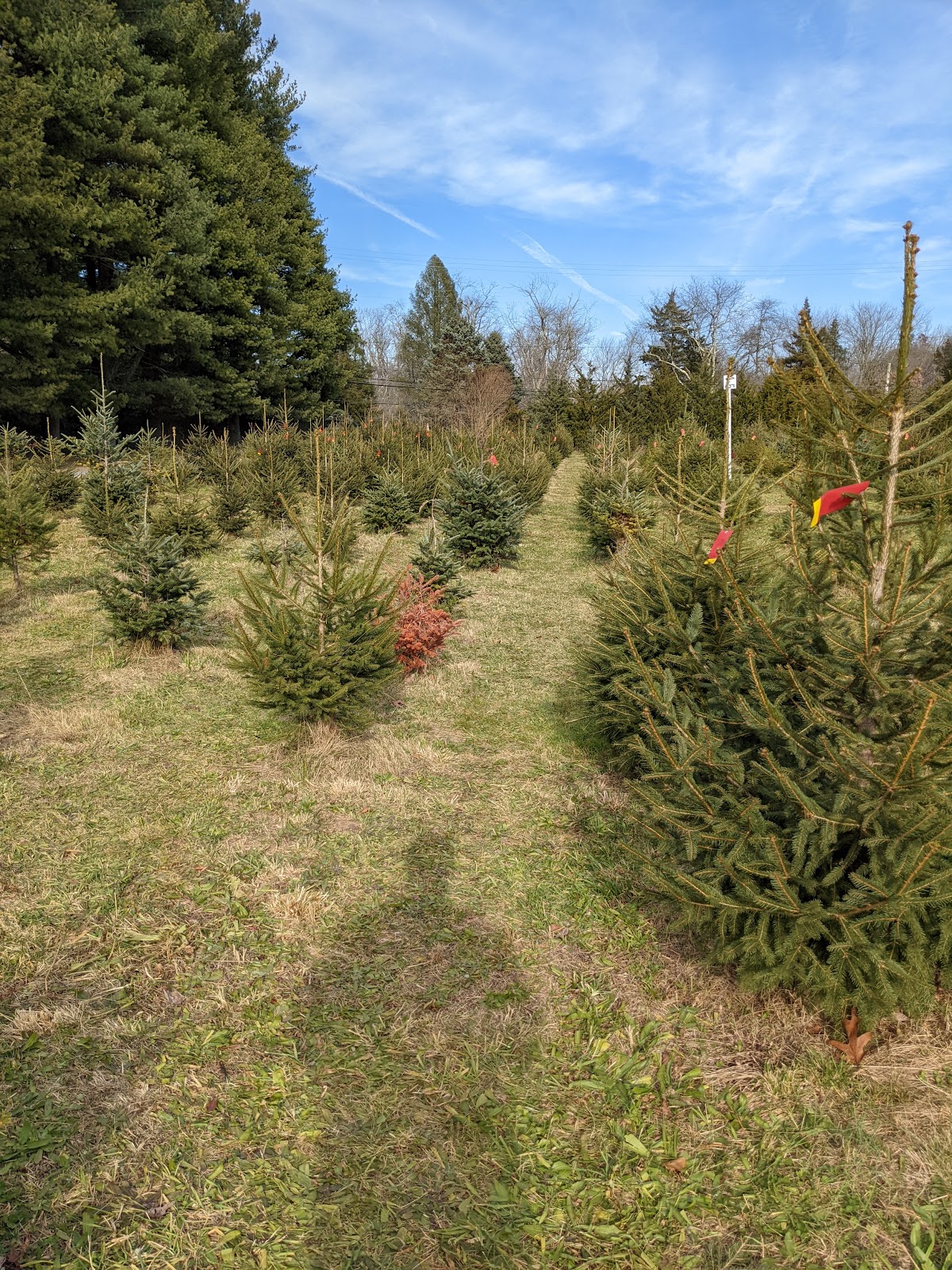 Conover's Farm in Wall Township, New Jersey