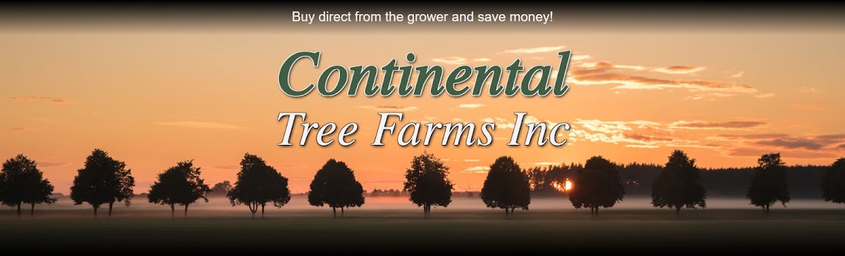 Continental Tree Farms in Avondale, Colorado