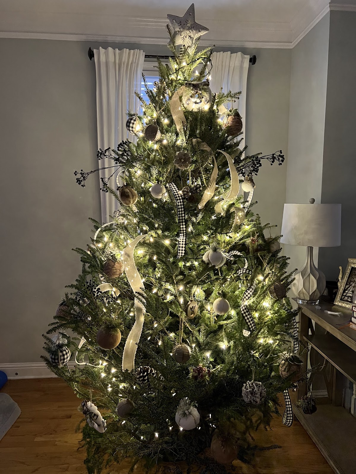 Cook's Christmas Trees in Smyrna, Georgia