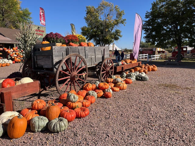 Country Apple Orchard & Christmas Tree Farm in Harrisburg, South Dakota
